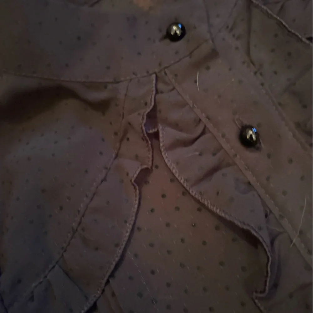 Black Button-Up  dotted swiss chiffon Blouse - Picture 2 of 4